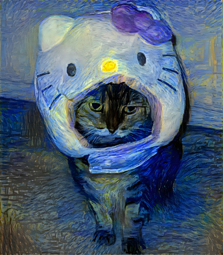 Starry Cat