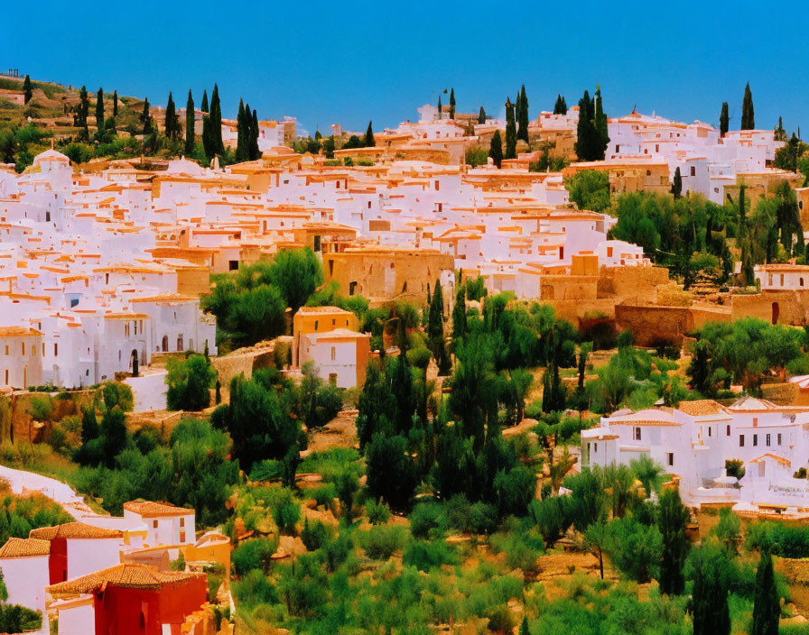 Scenic hillside town with white buildings and green trees under blue sky