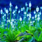 Glowing blue water droplets on grass blades create magical nighttime garden ambiance