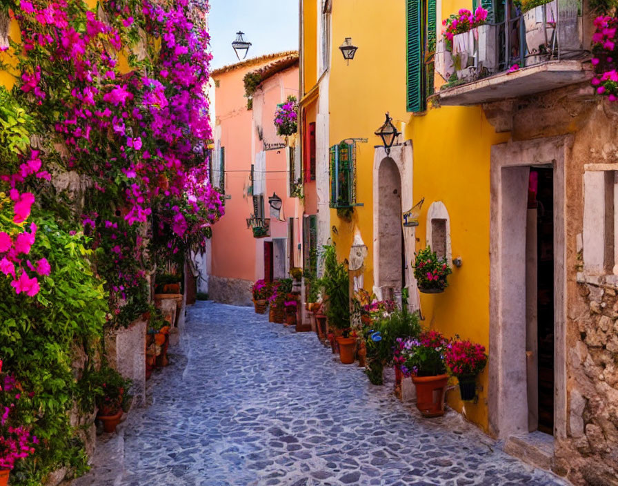 Picturesque cobblestone street with vibrant pink flowers and colorful buildings