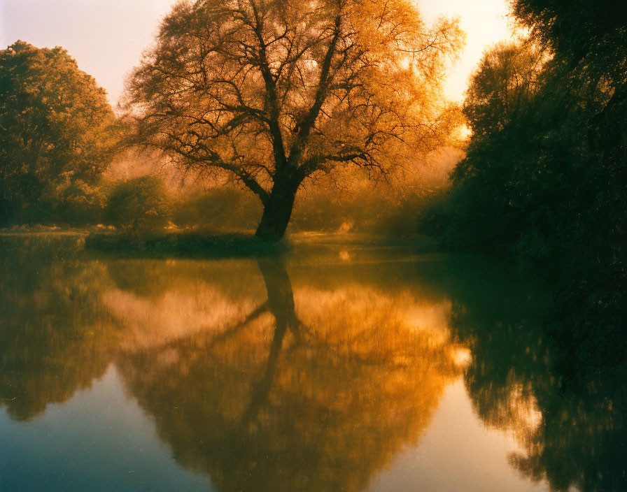 Tranquil sunset scene with river reflection and tree silhouette