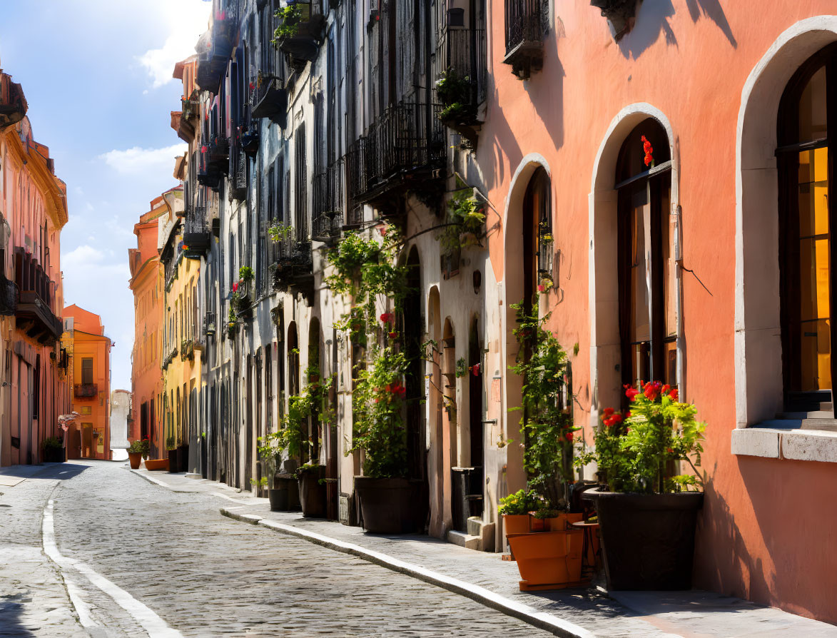 Colorful cobblestone street with balcony plants and flowers.