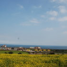 Rural landscape painting with meadow, thatched houses, sea & clouds