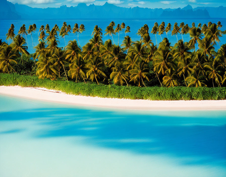 Tropical Beach with White Sand, Turquoise Water, Palm Trees, Mountain Backdrop