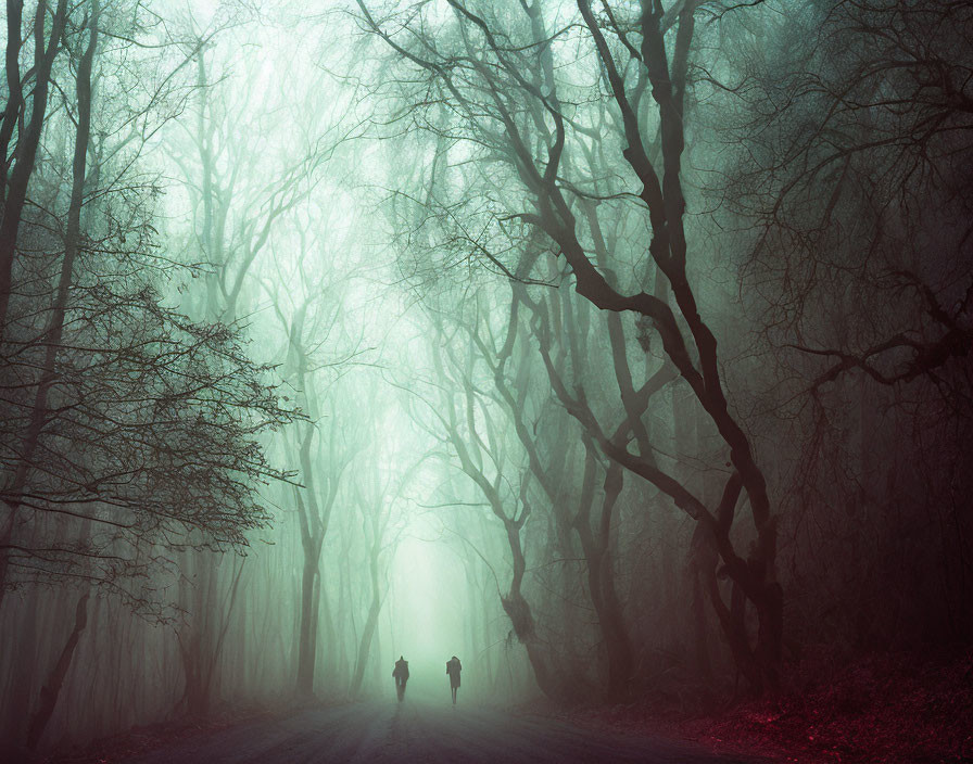 Silhouetted figures walking on foggy forest path with twisted trees