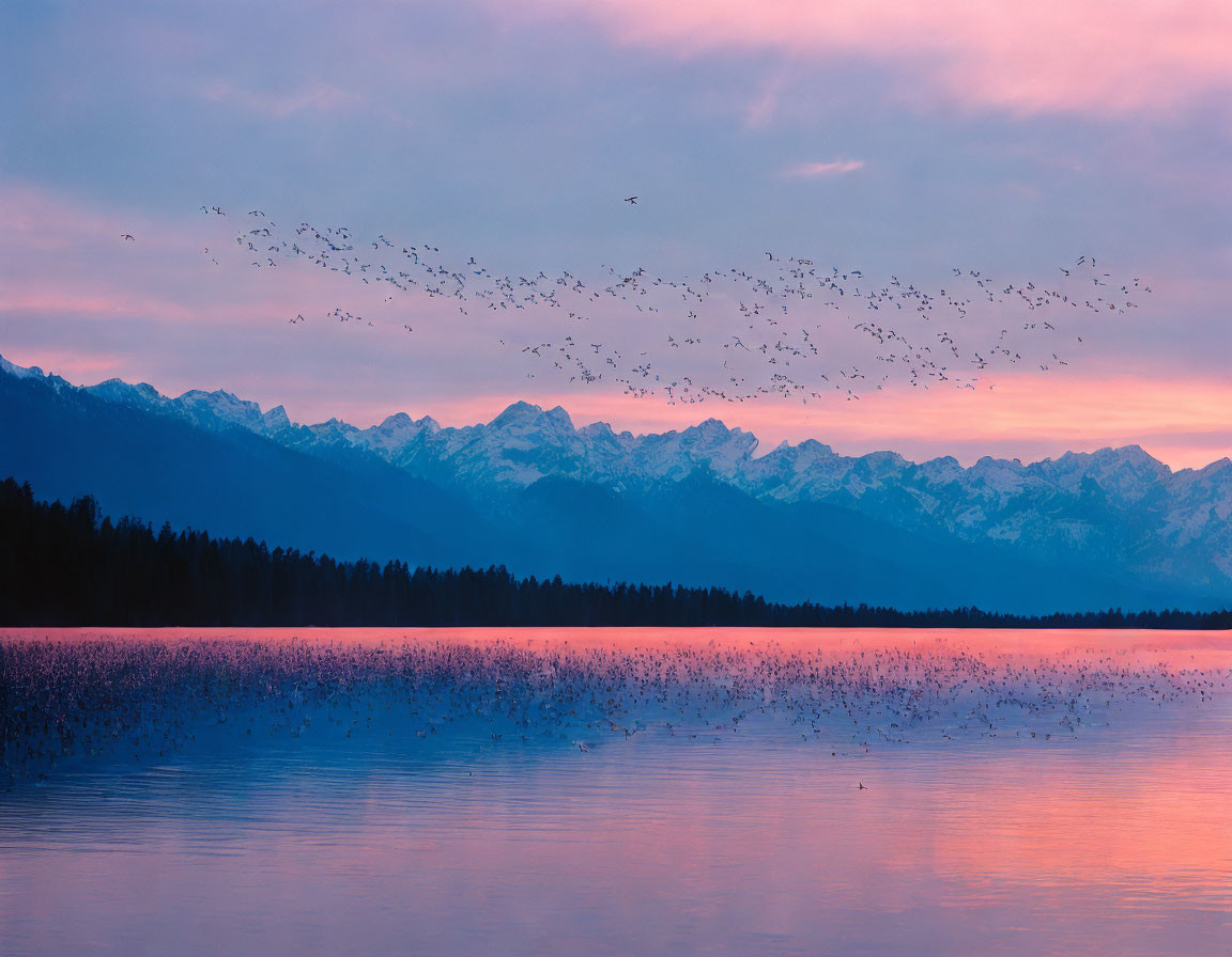 Tranquil sunset over pink and purple mountain range with flying birds