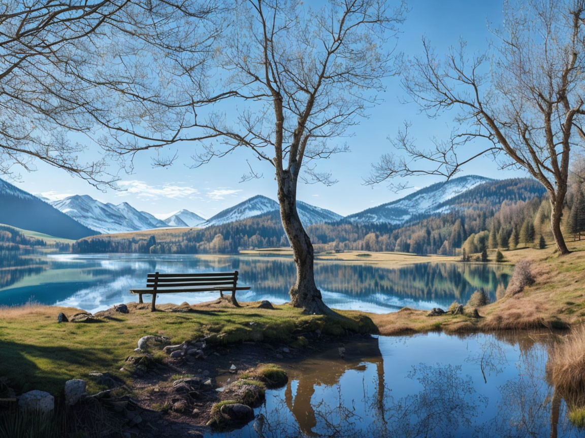 Serene lake landscape with bench, leafless tree, mountains, blue sky, calm waters