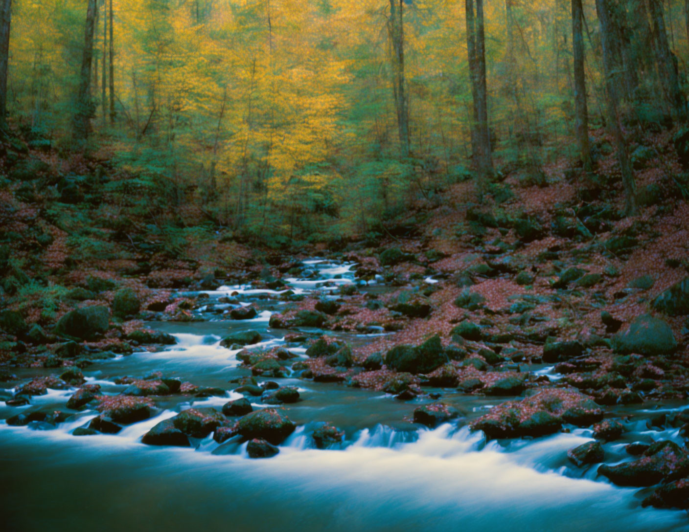 Blurred forest scene with stream, yellow and red leaves