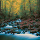 Blurred forest scene with stream, yellow and red leaves
