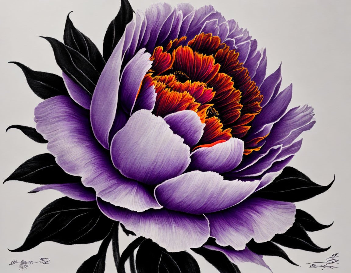 Detailed Large Purple and Red Flower Illustration on Pale Background