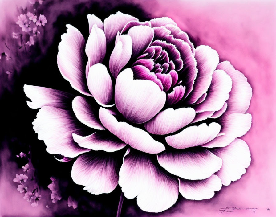 Digitally Enhanced Image: Large White and Purple Flower on Soft Pink Background