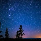 Starry Night Sky over Silhouetted Pine Trees and Mountains