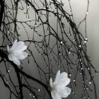 Detailed monochromatic floral branches on gradient grey background