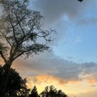 Serene landscape at dusk with silhouetted trees, crescent moon, stars, flying plane