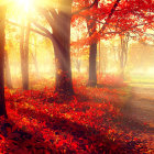 Vibrant red foliage trees in fantasy autumn scene