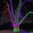 Colorful Glowing Tree with Lanterns in Luminous Night Sky