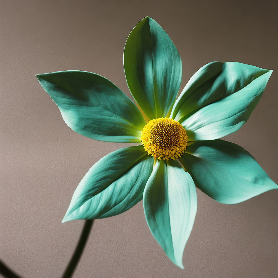 Teal and Green Flower with Yellow Center on Soft Brown Background