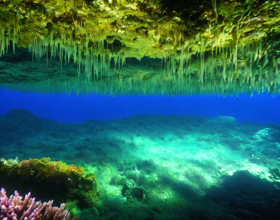 Sunlit Underwater Cave with Stalactites and Coral Reef