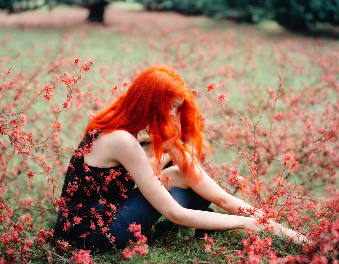 Red-Haired Woman Surrounded by Pink Flowers in Grass Field