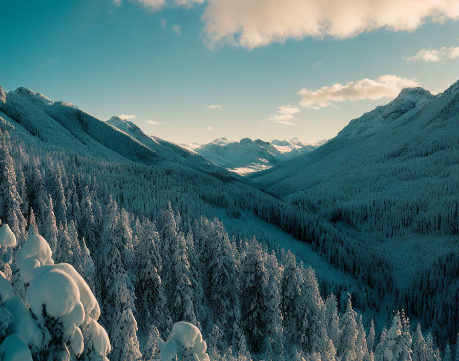 Scenic snow-covered forested valley and mountain peaks landscape