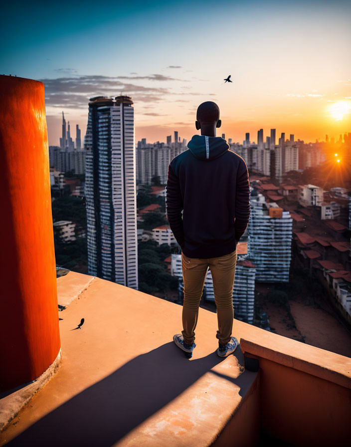 Person silhouetted against cityscape at sunset from high vantage point