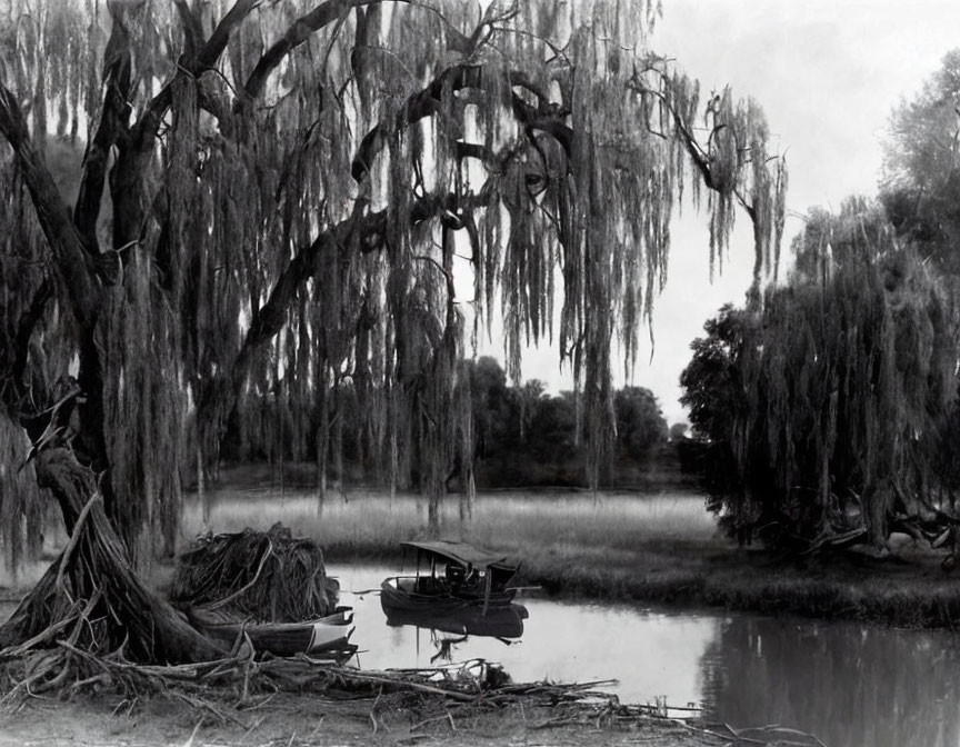 Tranquil monochrome landscape with weeping willows, river, boats, and lush greenery