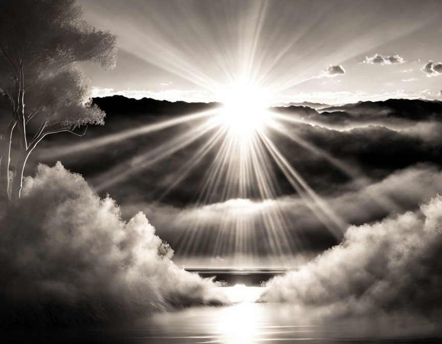 Monochromatic landscape with sunburst, clouds, water, and tree