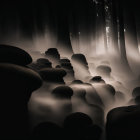 Misty forest with boulders, shadowy trees, and ethereal light