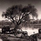 Vintage Black and White Photo: Abandoned Carriage by Tranquil Lake