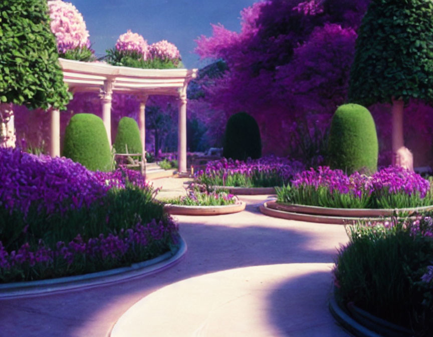 Tranquil garden pathway with purple flowers, green hedges, and white gazebo