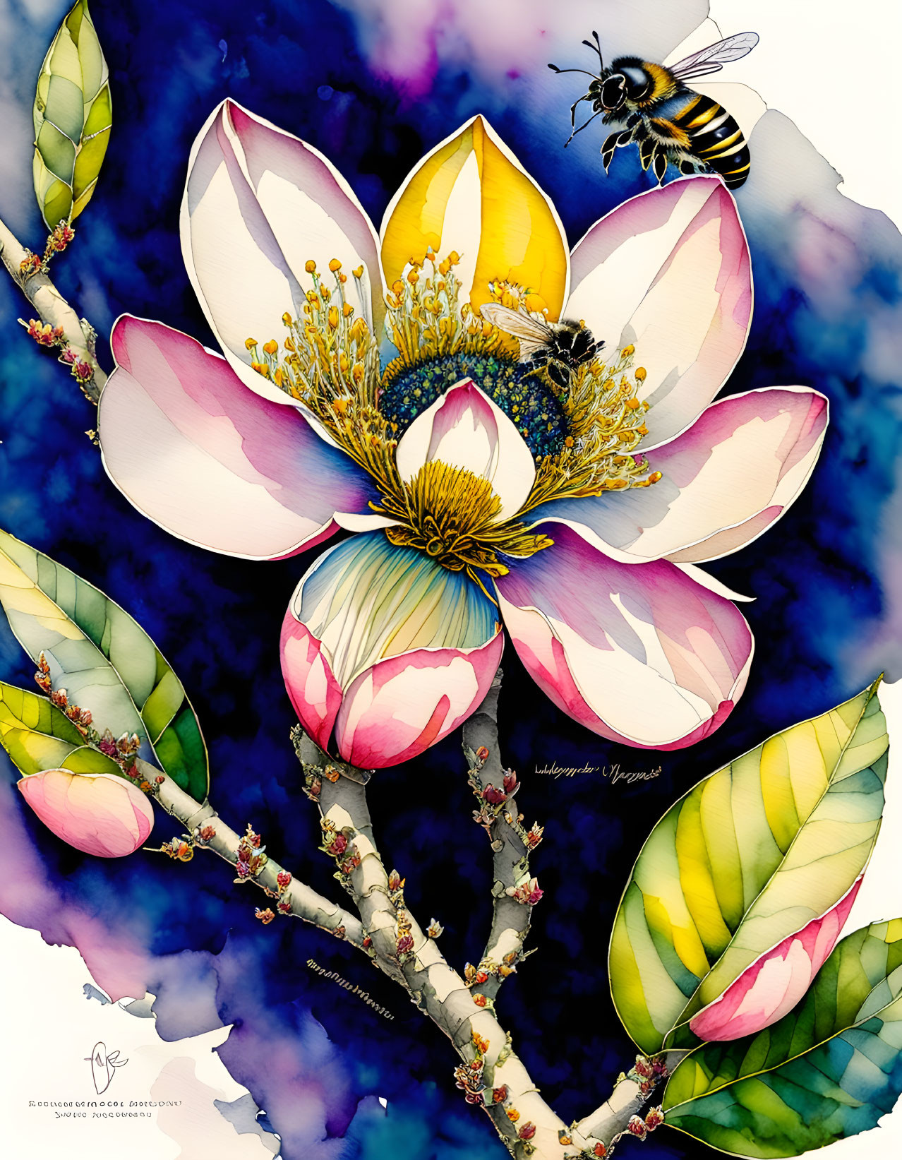 Detailed illustration of bee on multicolored flower against dark blue background