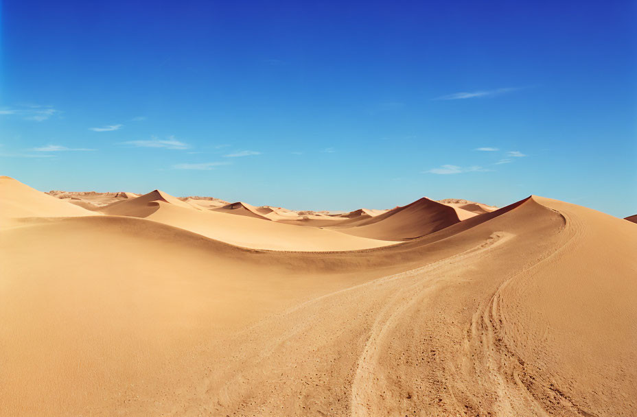 Desert landscape with golden sand dunes and tire tracks