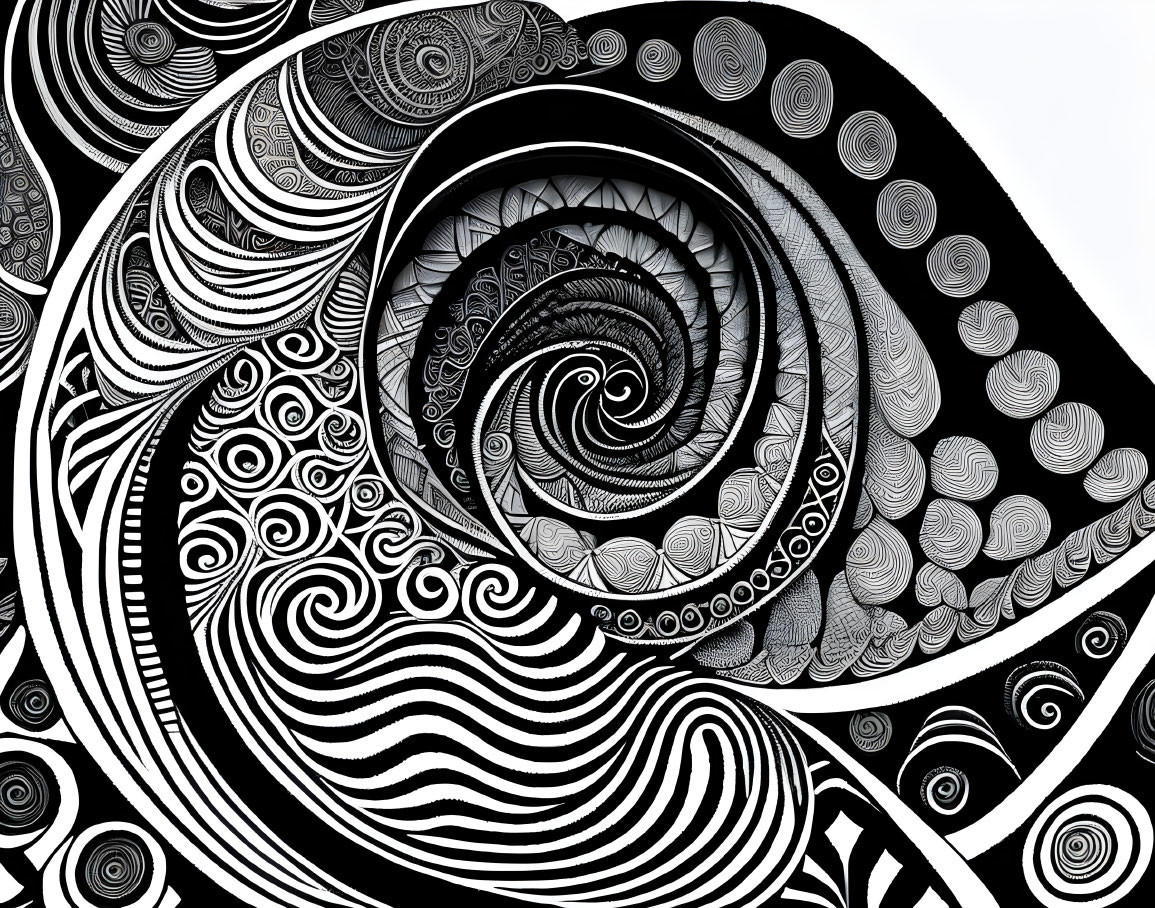 Monochrome spiral patterns with intricate line designs