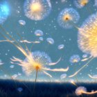 Glowing dandelion seed heads on mystical blue background with soft focus flowers