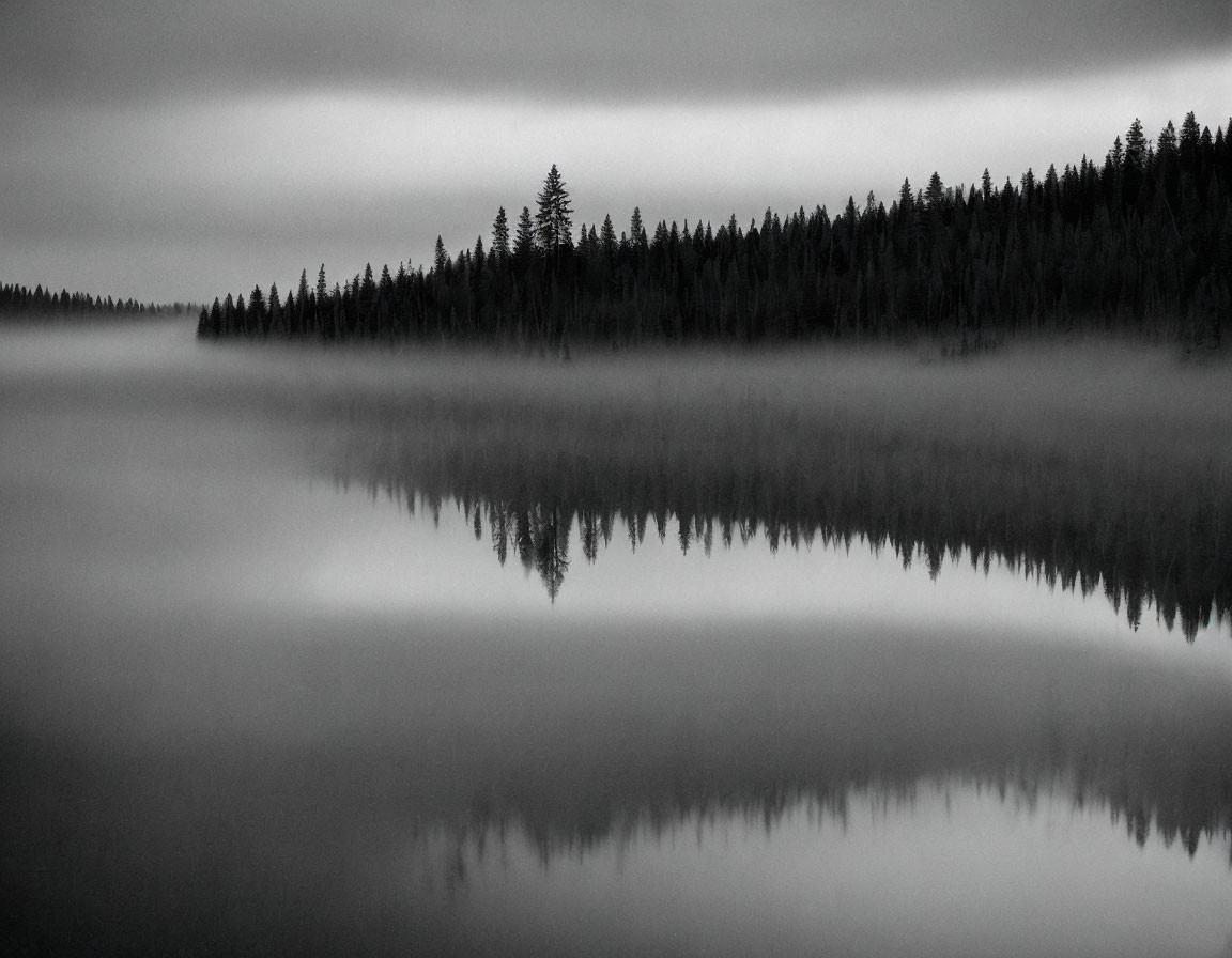 Tranquil grayscale forest scene with mist and reflections