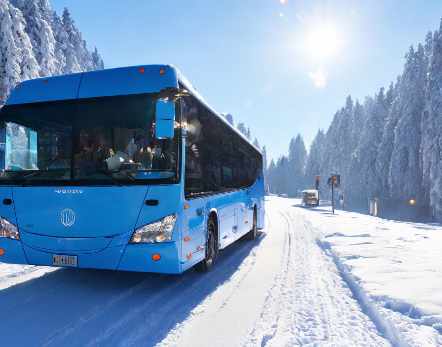 Blue bus on snow-covered road flanked by trees under bright sun