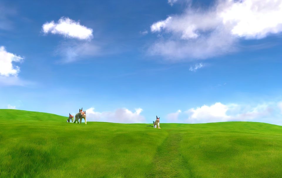 Three kangaroos on vibrant green hill under blue sky with clouds & path.