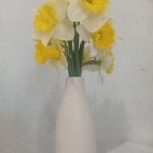 Yellow and White Daffodil Bouquet in Clear Glass Vase