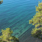 Tranquil night scene: starlit sky, pine trees, lake, rocks, foliage