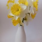 Bright yellow daffodils in a vase on pastel background