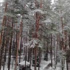 Snow-covered cottage nestled among trees on tranquil winter day by icy river