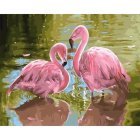 Pair of flamingos in shallow water with green foliage reflections