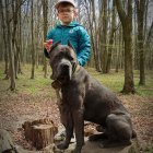 Young boy with four dogs in glasses in colorful forest