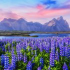 Mountain landscape with purple flowers in watercolor