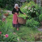 Elderly woman with white hair strolling through lush garden path