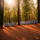 Sunlit Forest with Solar Panels and Rays of Light