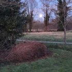 Tranquil twilight forest with reflecting pond and streetlamp