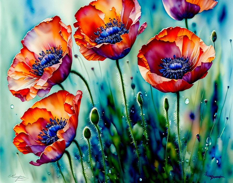 Colorful Poppy Flowers with Blue Centers on Speckled Background