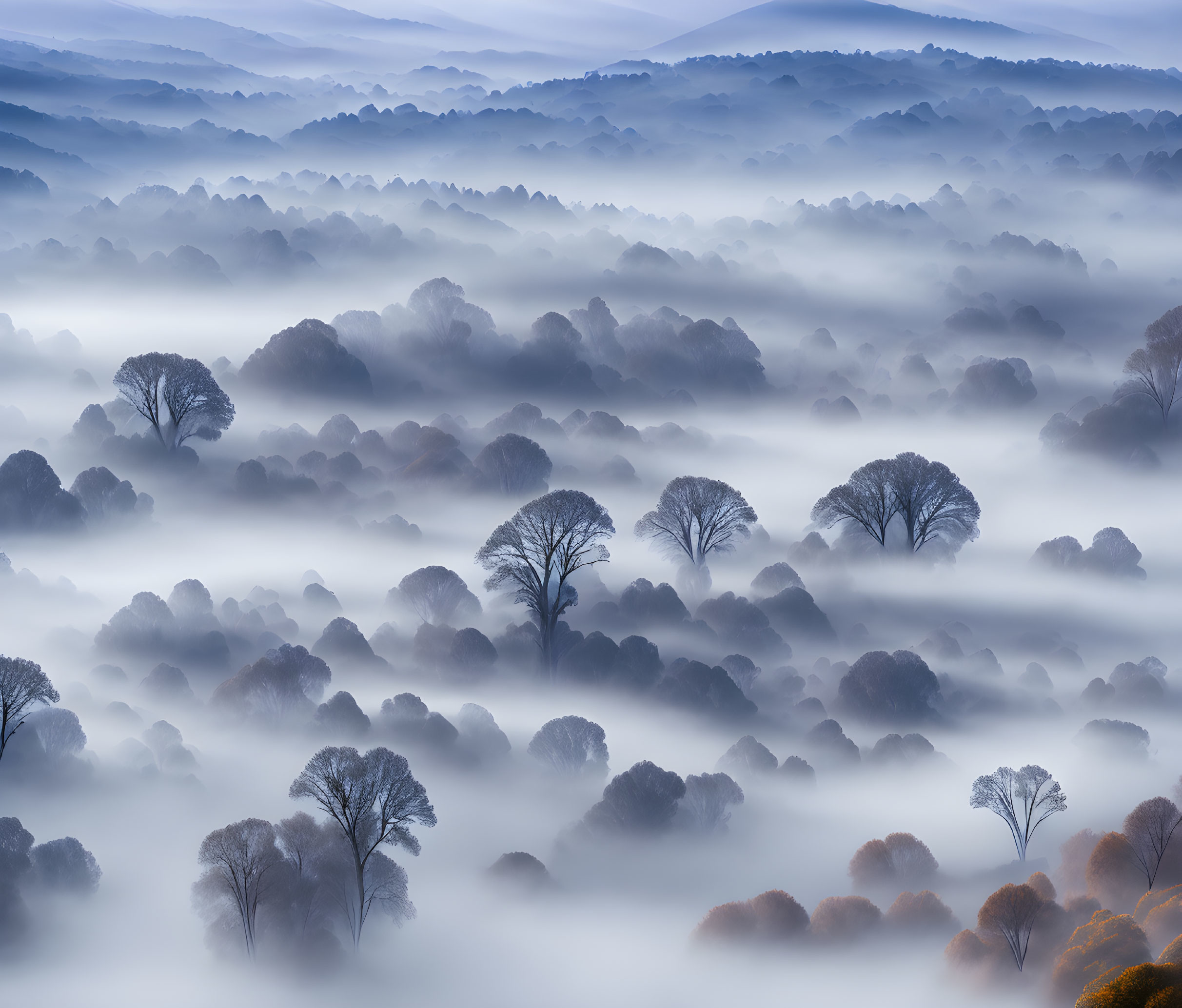 Tranquil forest scene with mist layers, dreamy atmosphere, blue and white colors