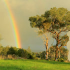 Suburban street with rainbows, fluffy clouds, and dynamic sky